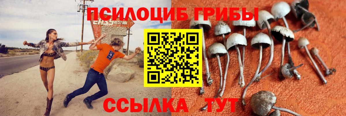 Псилоцибиновые грибы мицелий  купить наркоту  Галлюциногенные грибы MAGIC MUSHROOMS  Рузаевка  Вход с VPN 